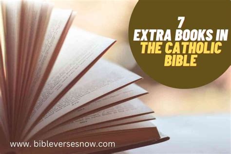 what are the extra books in the catholic bible? the role of tradition in shaping the canon