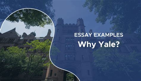 Why Yale Essays: Delving into Excellence with Diverse Perspectives